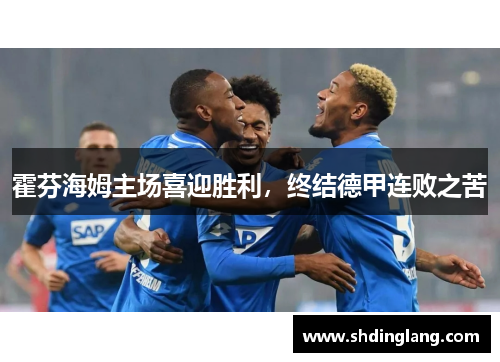 霍芬海姆主场喜迎胜利，终结德甲连败之苦