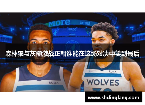 森林狼与灰熊激战正酣谁能在这场对决中笑到最后