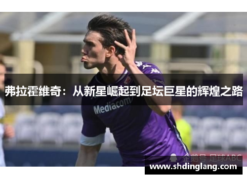 弗拉霍维奇：从新星崛起到足坛巨星的辉煌之路