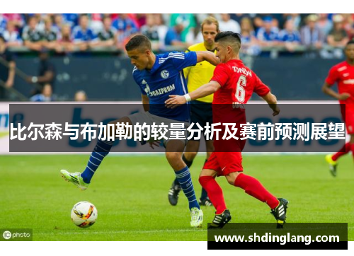 比尔森与布加勒的较量分析及赛前预测展望