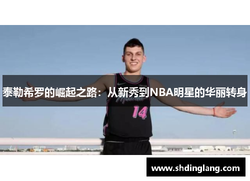 泰勒希罗的崛起之路：从新秀到NBA明星的华丽转身