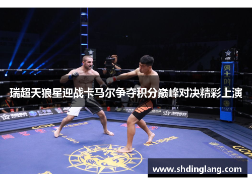 瑞超天狼星迎战卡马尔争夺积分巅峰对决精彩上演