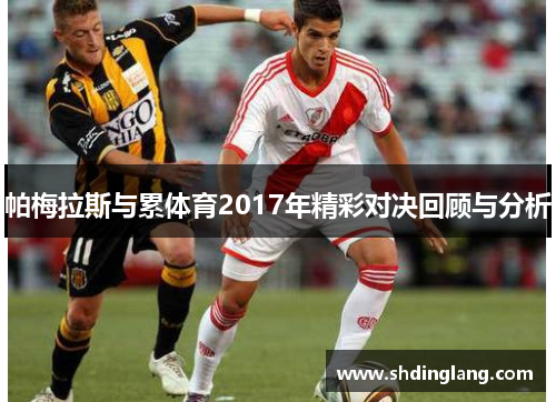帕梅拉斯与累体育2017年精彩对决回顾与分析