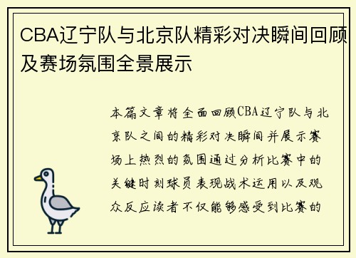 CBA辽宁队与北京队精彩对决瞬间回顾及赛场氛围全景展示